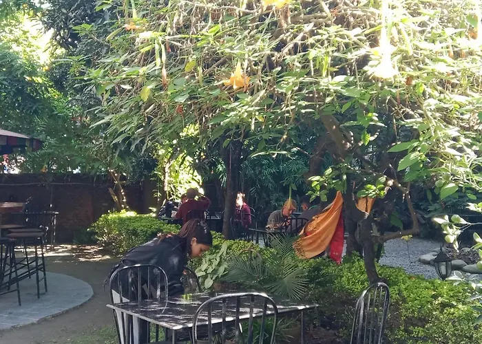Lotus Garden 3*