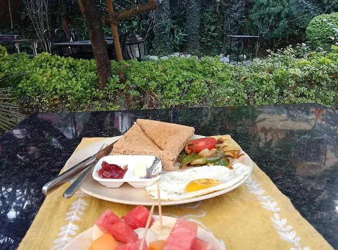 Lotus Garden Hotel Katmandú