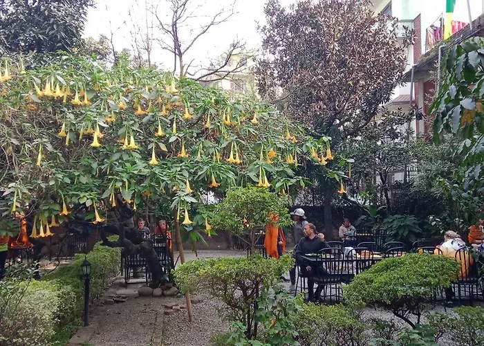 Lotus Garden Hotel Katmandú